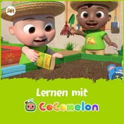 Lernen mit CoComelon