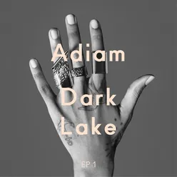 Dark Lake Tyler Pope Remix / LCD Soundsystem