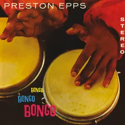 Bongo In The Congo