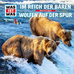 Wölfen auf der Spur - Teil 12