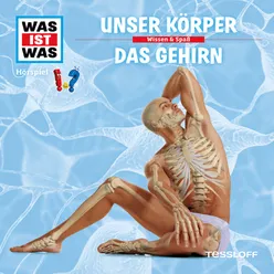 Unser Körper - Teil 02