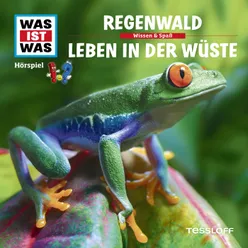Regenwald - Teil 03