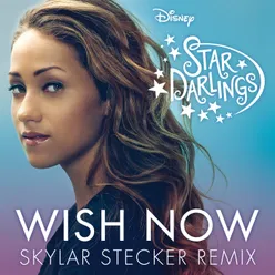 Wish Now Skylar Stecker Remix