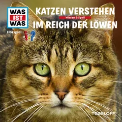 Katzen verstehen - Teil 01