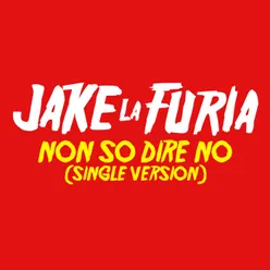 Non So Dire No-Single Version