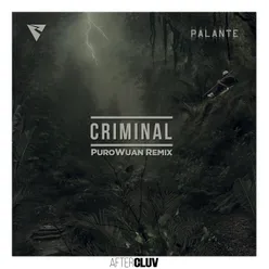 Criminal PuroWuan Remix