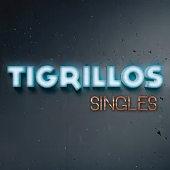 Tigresa-Album Version