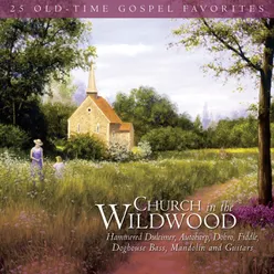Amazing Grace Church In The Wildwood Album Version