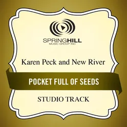 Pocket Full Of Seeds Medium Key Performance Track With Background Vocals