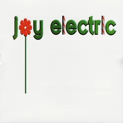 The Electric Joy Toy Company
