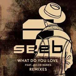 What Do You Love Zac Samuel Remix