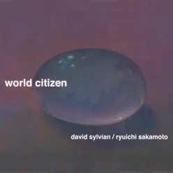 World Citizen Ryoji Ikeda Remix