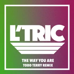 The Way You Are Todd Terry Remix