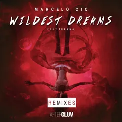 Wildest Dreams Adriano Pagani Remix