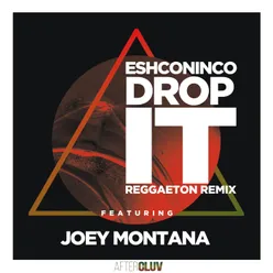 Drop It-Reggaeton Remix