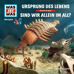 Der Fisch - einer unserer Vorfahren