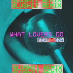 What Lovers Do Slushii Remix