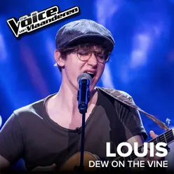 Dew On The Vine The Voice Van Vlaanderen 2017 / Live