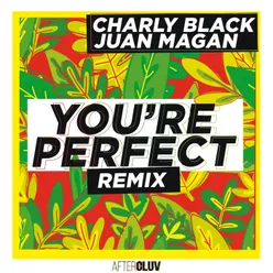 You're Perfect Remix