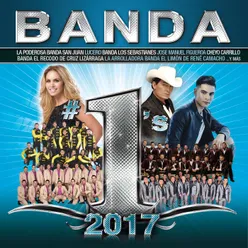 Ganas De Volver Versión Banda