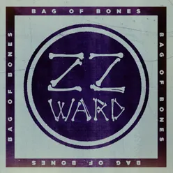 Bag of Bones-Fan Version