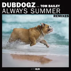 Always Summer-RADIØMATIK Remix