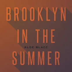 Brooklyn In The Summer Unplugged