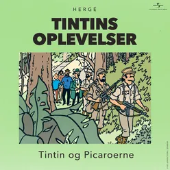 Tintin og Picaroerne Kapitel 1