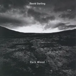 Searching (Darkwood VI)