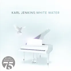 Jenkins: White Water