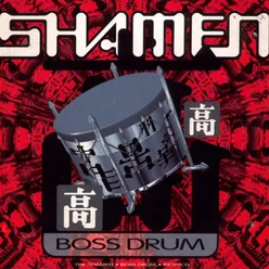 Boss Drum The Shamen 12 Inch Mix