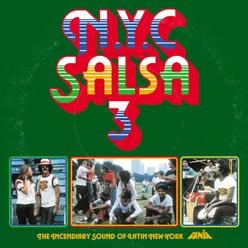 NYC Salsa, Vol. 3
