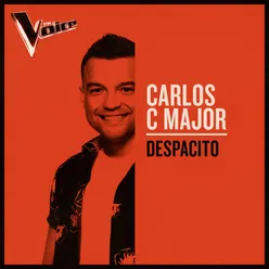 Despacito The Voice Australia 2019 Performance / Live