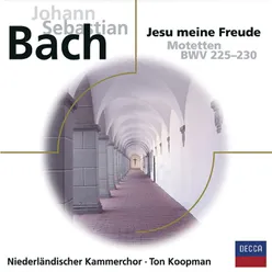 J.S. Bach: Lobet den Herrn, alle Heiden, BWV 230