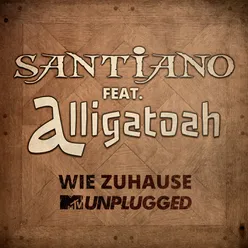Wie Zuhause MTV Unplugged / Live Single Edit
