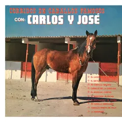 Mi Caballo Ensillado