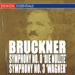Symphony No. 3 in D Minor "Wagner": I. Ma¨ssig bewegt