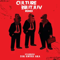 Culture Vulture-Remix / Edit