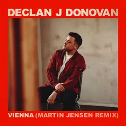 Vienna Martin Jensen Remix