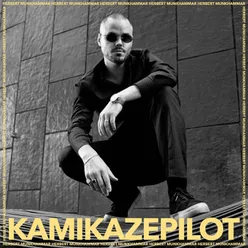 Kamikazepilot-Instrumental