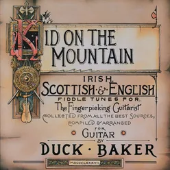The Blarney Pilgrim Album Version