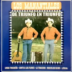 Con Ritmo De Manantial