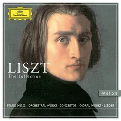 Liszt: O lieb, so lang du lieben kannst, S. 298
