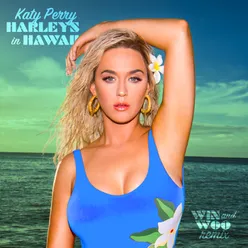 Harleys In Hawaii-Win and Woo Remix