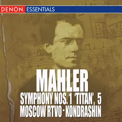 Symphony No. 5 in D Major: V. Rondo - Finale