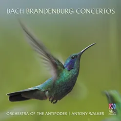 Bach: Brandenburg Concertos