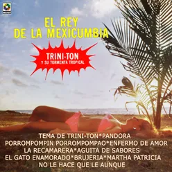 Tema De Trini-Ton