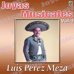 Joyas Musicales: Canciones De Vacile Con Mariachi, Vol. 1