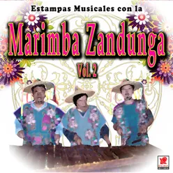 Estampas Musicales Con La Marimba Zandunga, Vol. 2
