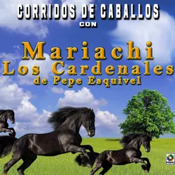 El Caballo Bayo